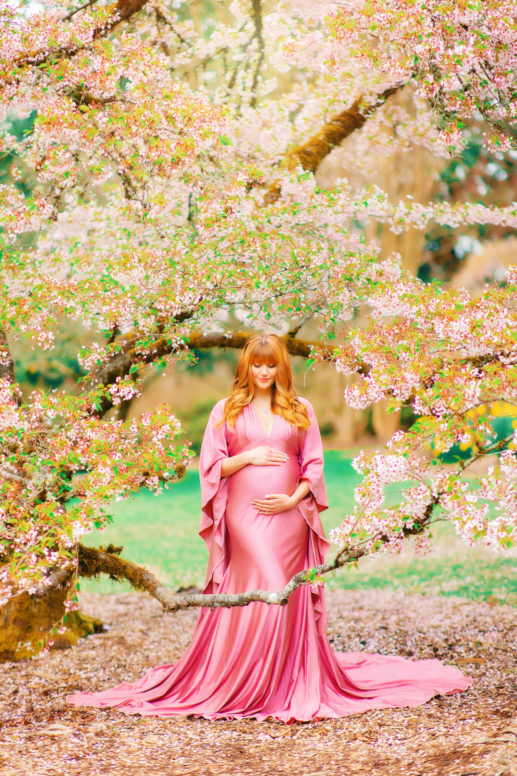 Pregnant woman in pink maternity gown among Seattle cherry blossom trees